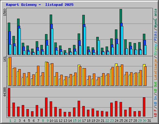 Raport Dzienny -  listopad 2025