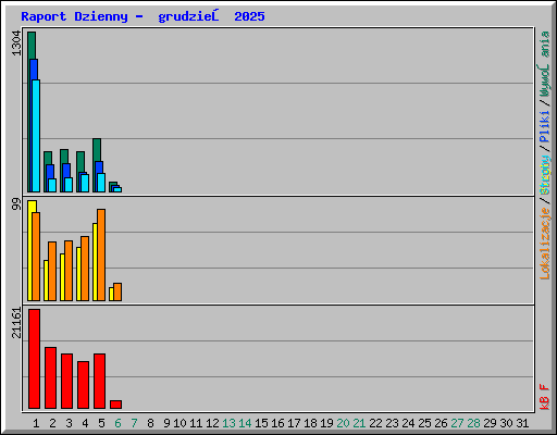 Raport Dzienny -  grudzień 2025