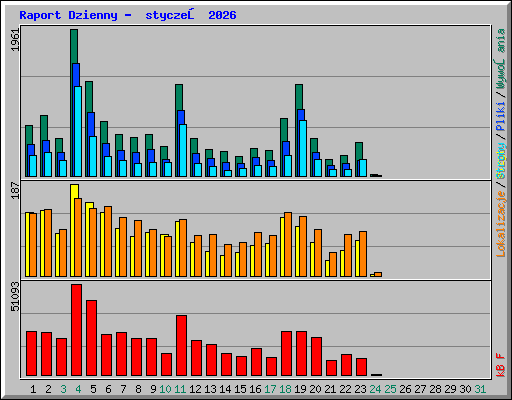 Raport Dzienny -  styczeń 2026