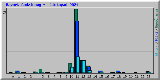 Raport Godzinowy -  listopad 2024