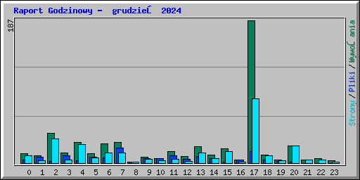 Raport Godzinowy -  grudzień 2024