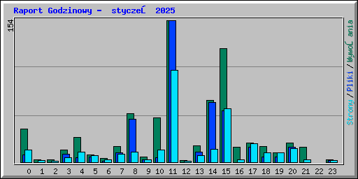 Raport Godzinowy -  styczeń 2025