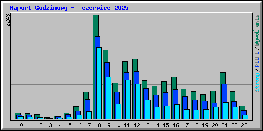 Raport Godzinowy -  czerwiec 2025