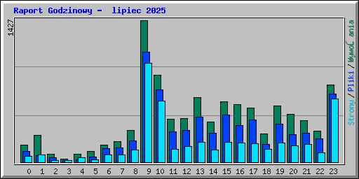 Raport Godzinowy -  lipiec 2025