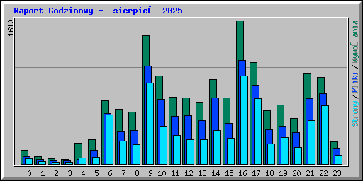 Raport Godzinowy -  sierpień 2025