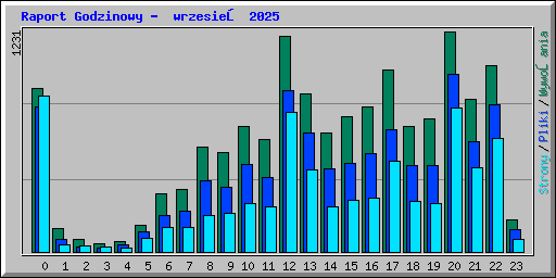 Raport Godzinowy -  wrzesień 2025
