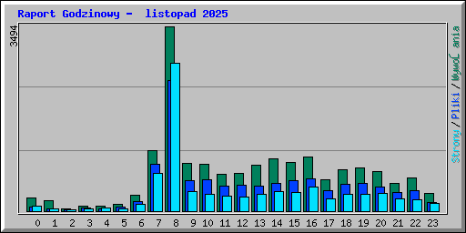 Raport Godzinowy -  listopad 2025