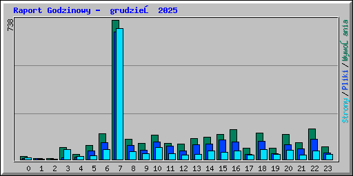 Raport Godzinowy -  grudzień 2025