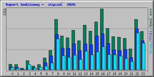 Raport Godzinowy -  styczeń 2026