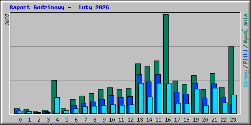Raport Godzinowy -  luty 2026