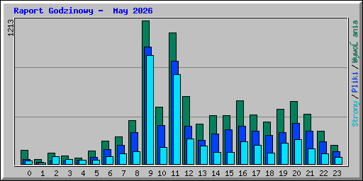 Raport Godzinowy -  May 2026