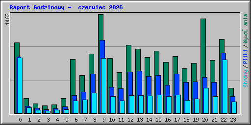 Raport Godzinowy -  czerwiec 2026