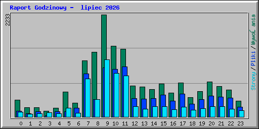 Raport Godzinowy -  lipiec 2026