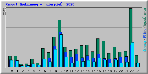 Raport Godzinowy -  sierpień 2026